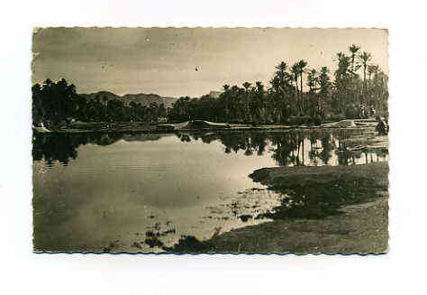 COLOMB BECHAR LE BARRAGE SUR L OUED