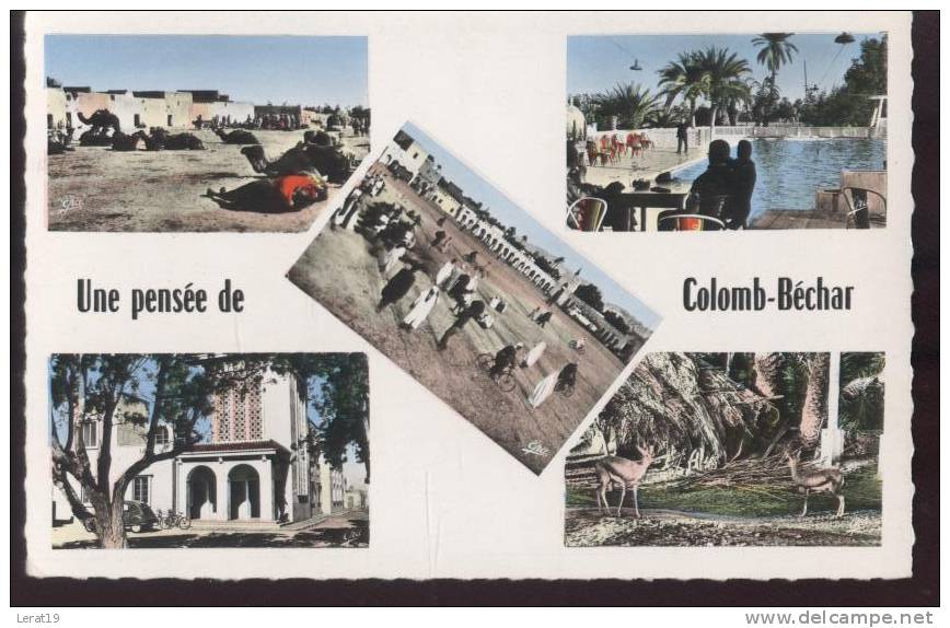 UNE PENSEE DE COLOMB BECHAR..CPSM... ECRITE....‹(•¿•)›