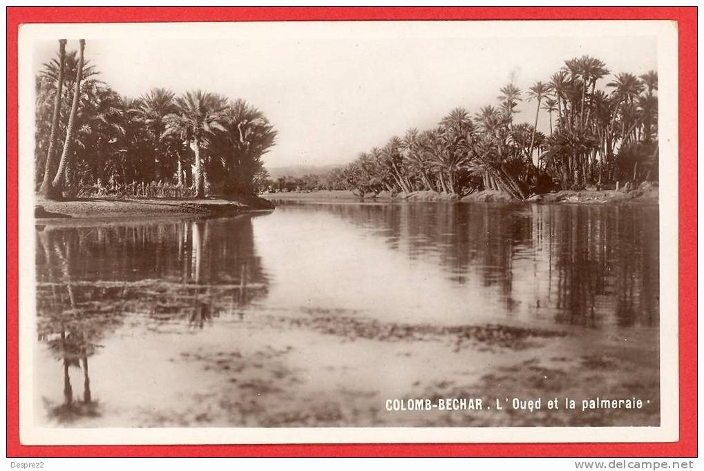 COLOMB BECHAR cpsm L ' Oued et la Palmeraie        edit Albert