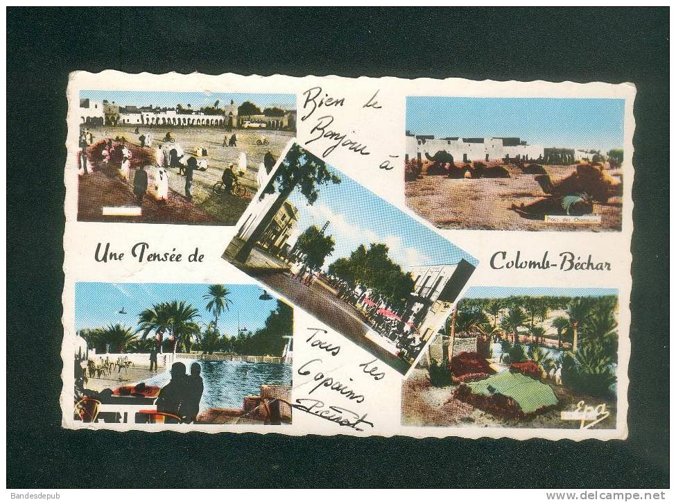 CPSM - Algerie - Une pensée de Colomb Béchar ( multivues PHOTO AFRICAINES)
