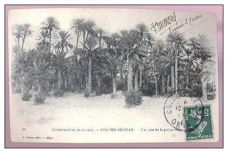 cpa, Extréme Sud Algérien, Colomb Béchar, un coin de la palmeraie , voyagé