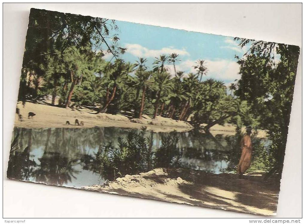 algérie   BECHAR  vu  par  argence