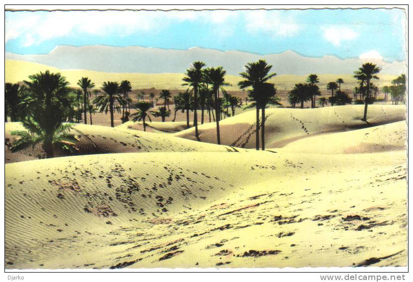 Carte postale de Bechar - Vue sur les Dunes - Au Fond le Djebel Béchar.