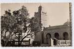 Algérie, « COLOMB-BECHAR, la mosquée », 1956