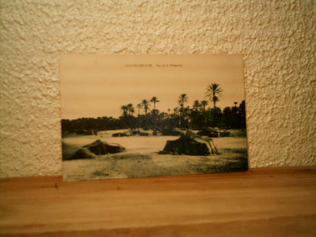 CP ALGERIE COLOMB BECHAR  FIN DE LA PALMARAIE
