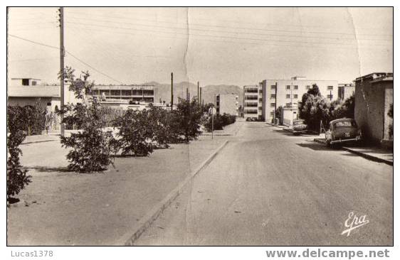 212 /COLOMB  BECHAR / UN BOULEVARD DE LA NOUVELLE VILLE