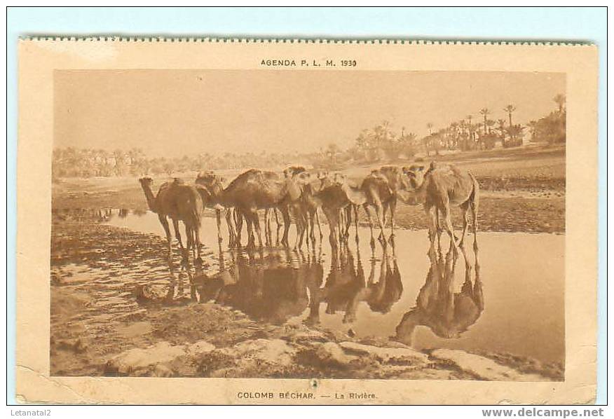 COLOMB BECHAR / la Rivuère / Agenda P.L.M.1930 / dromadaire