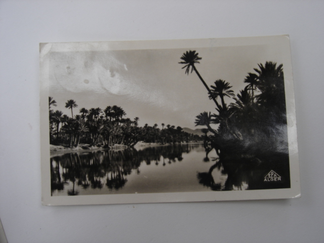 COLOMB BECHAR( SUD ORANAIS)10 L´ oued