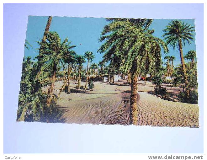 (342) - 1 - carte postale sur colomb bechar les dunes et la palmeraie