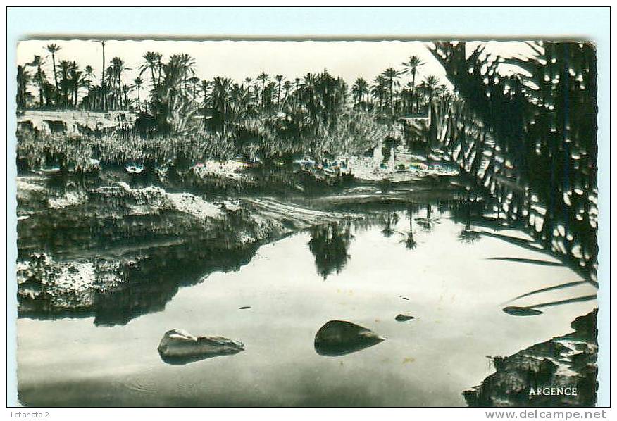 COLOMB - BECHAR / Un coin de la Palmeraie / Béchar