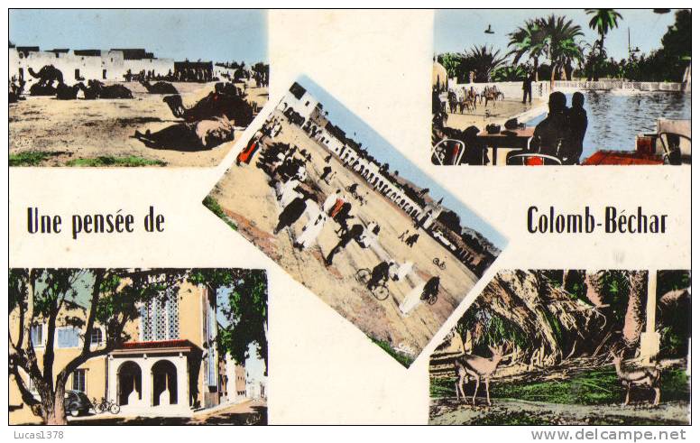 UNE PENSEE DE COLOMB BECHAR / CPSM 1959
