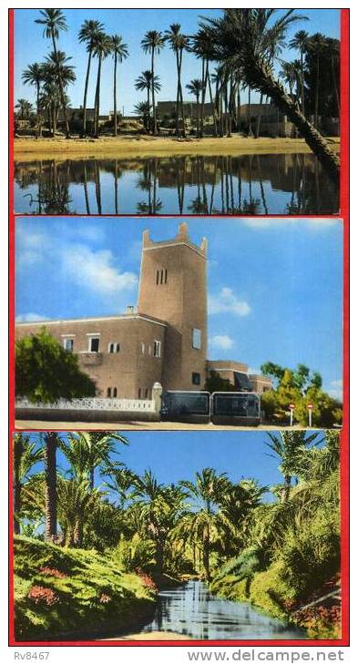 Lot de 3 cartes-BECHAR-L'Oued,Hôte l TRANSAT,Palmeraie(Edition s BELLALI/JEFAL/AU MUSEE SAHARIEN)