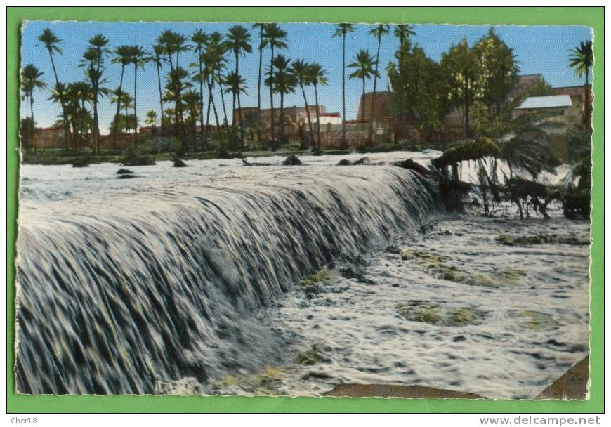 1003 Colomb Bechar l Oued