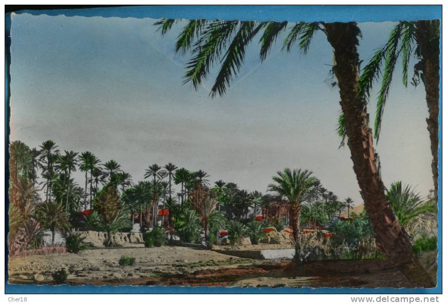 Colomb Bechar la palmeraie Ecrite Date 1958