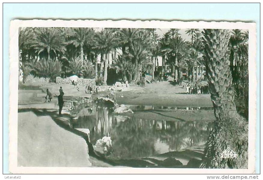 COLOMB BECHAR - l' Oued et le barrage