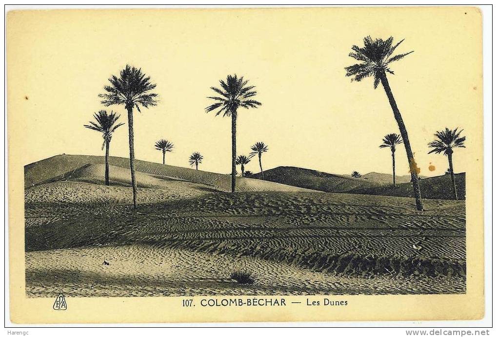 COLOMB BECHAR DUNES PRIX FIXE