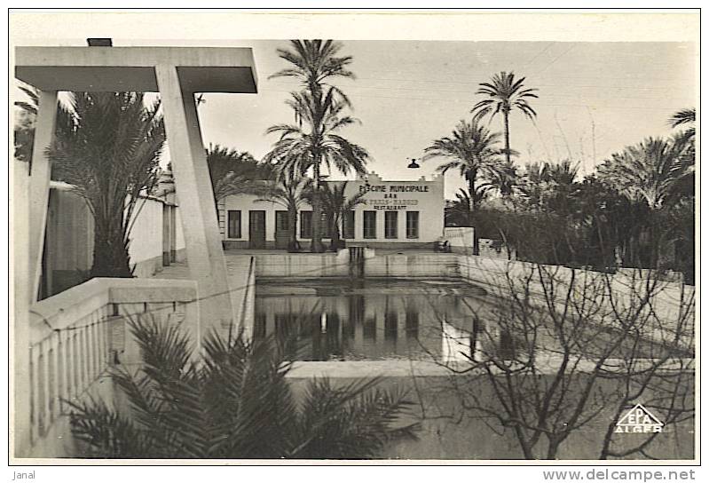 - ALGERIE - COLOMB-BECHAR - LA PISCINE MUNICIPALE -