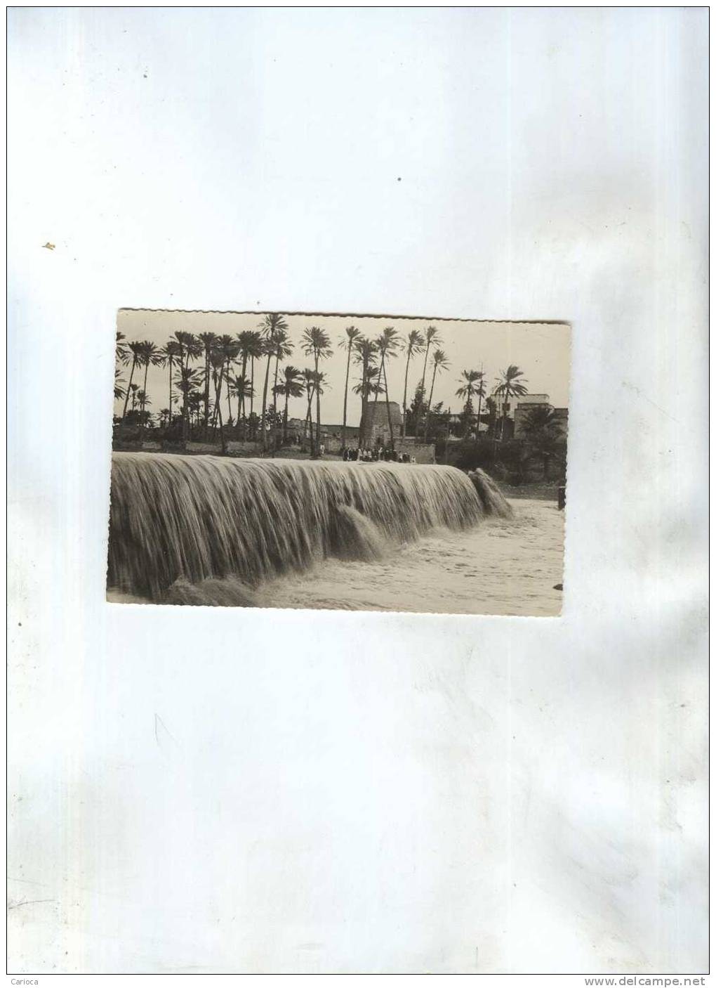 CP COLOMB BECHAR  L OUED EN CRUE EN 1953