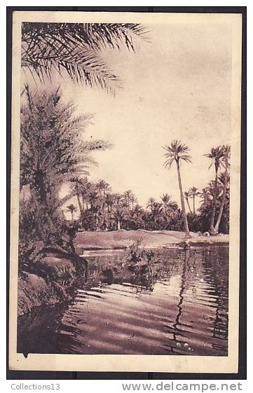 ALGERIE - Colomb Bechar - La rivière