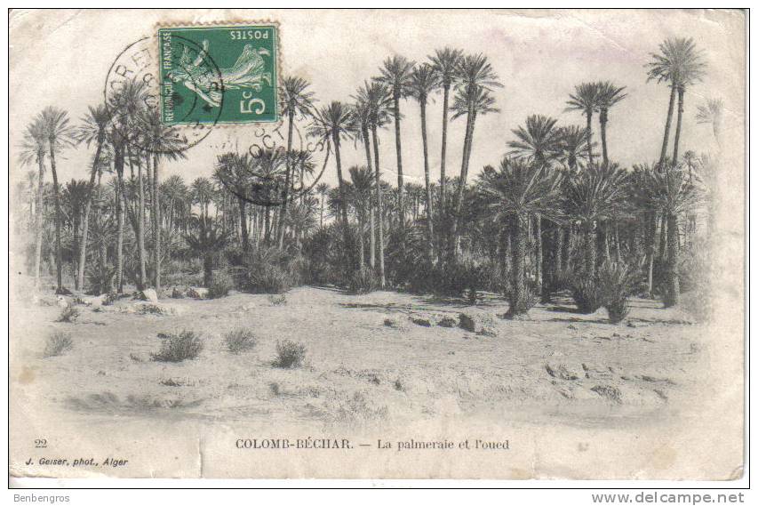 Colomb Béchar  la palmeraie et l'oued