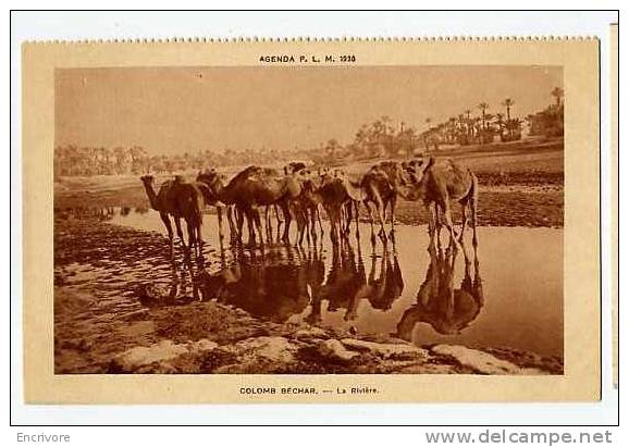 cpa COLOMB BECHAR la riviere -troupeau de chameaux - agenda PLM 1930- ed barreau