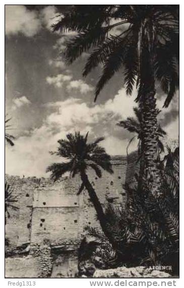 Colomb Bechar - Ouayda - Vue sur le Village