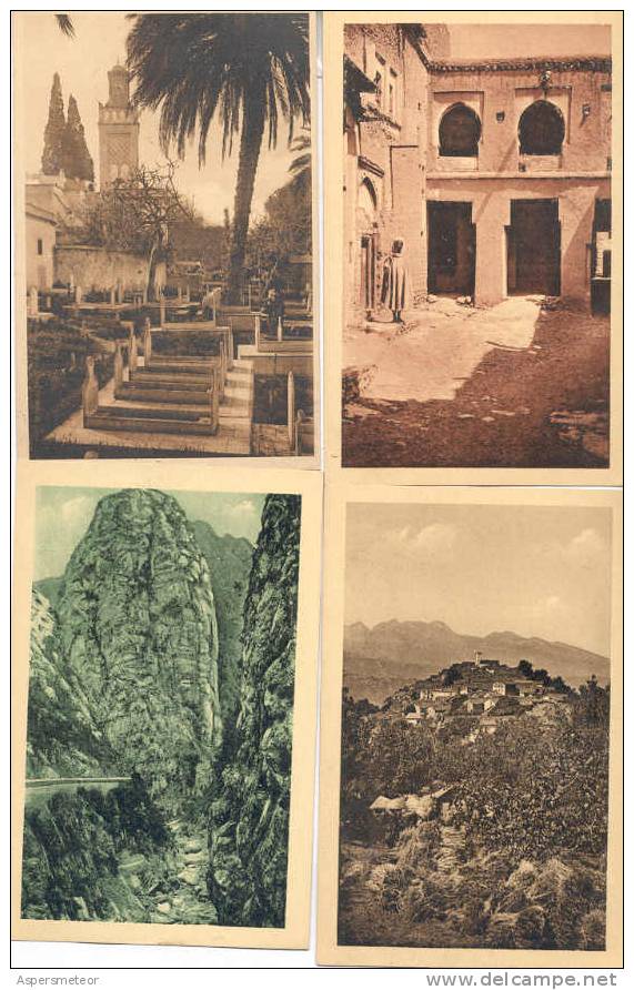 ALGERIE 16 CPA DIFFERENTES TBE DOS DIVISE UNCIRCULATED ALGERIE COLOMB-BECHAR BOUGIE