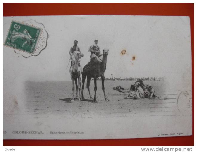 Colomb Bechar  Sahariens Meharistes Mehari  Geiser 15