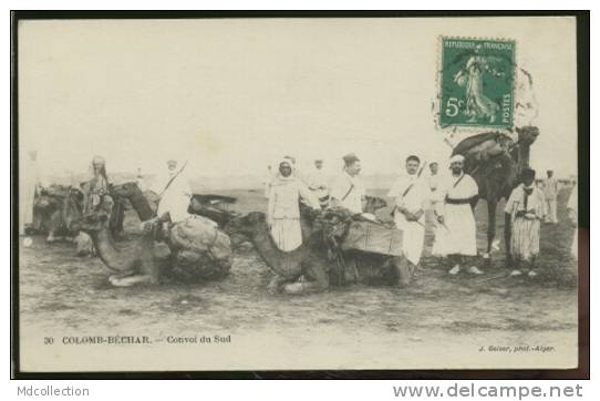 ALGERIE COLOMB-BECHAR  /  Convoi du sud  / chameaux