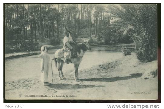 ALGERIE COLOMB-BECHAR  /  au bord de la rivière