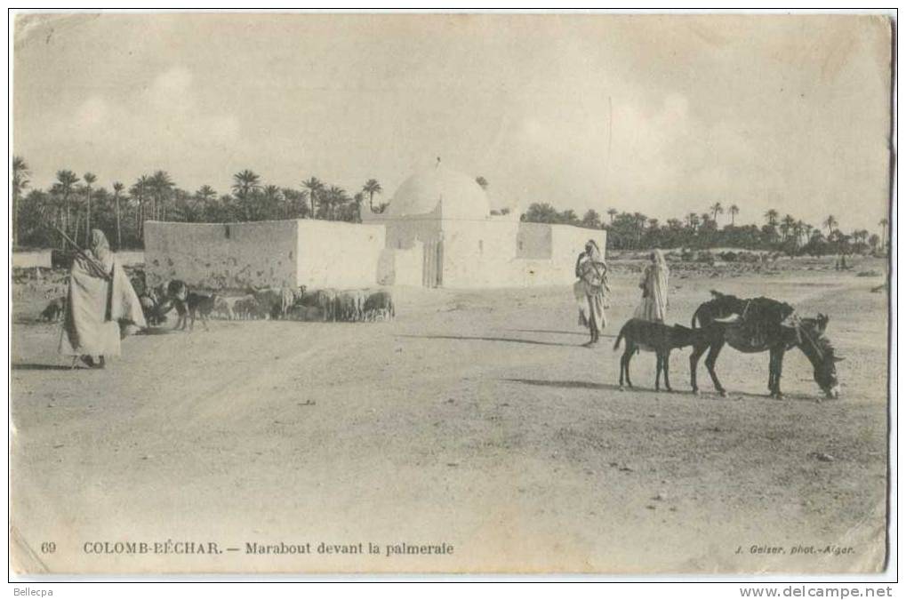 COLOM BECHAR Marabout devant la Palmeraie