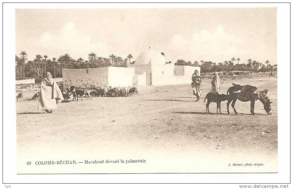 ALGERIE  colomb  béchar  marabout devant la palmeraie