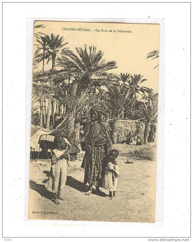 COLOMB-BECHAR_Un coin de la Palmeraie