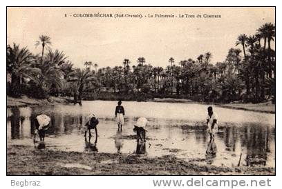 COLOMB BECHAR       8   LA PALMERAIE      LE TROU DU CHAMEAU