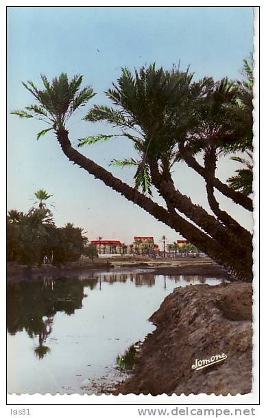 Algérie - Z685 - Colomb-Béchar - l'Oued -  bon état - semi moderne eptit format