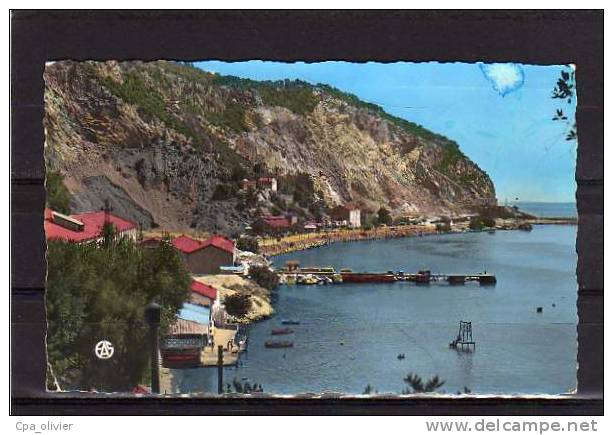 ALGERIE Bougie (environs) Baie de Sidi Yahya, cachet 49è Bataillon Infanterie, ed Sirecky 33, CPSM 9x14, 1956