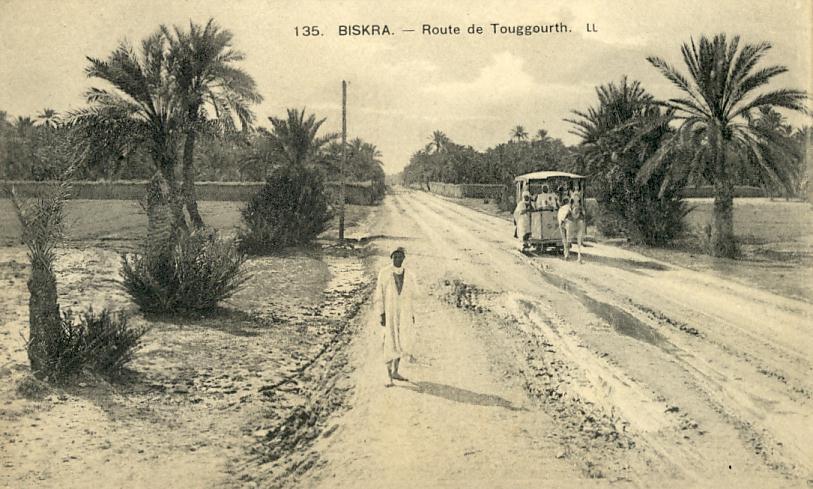 Algérie - Biskra -  Attelage - Voiture Navette