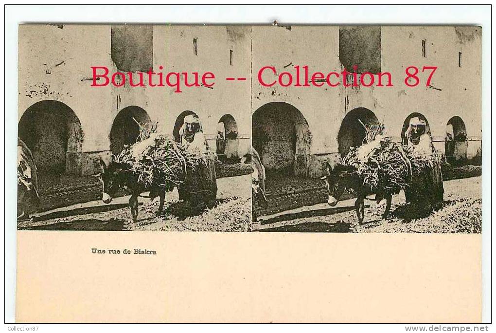 CPA  1900 de BISKRA STEREOSCOPIQUE - UNE RUE - ANE - ASS - EZEL - STEREOVIEW 1900´s - DOS VISIBLE