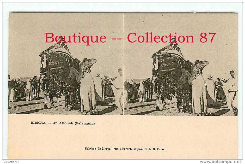 CPA  1900 de BISKRA STEREOSCOPIQUE - PALANQUIN - UN ATTOUCH - STEREOVIEW 1900´s - DOS VISIBLE