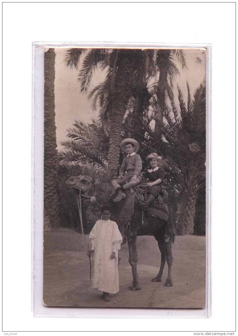 ALGERIE Biskra Carte Photo, Couple sur un Dromadaire, Chameau, beau plan, Photographe Balance, 1913