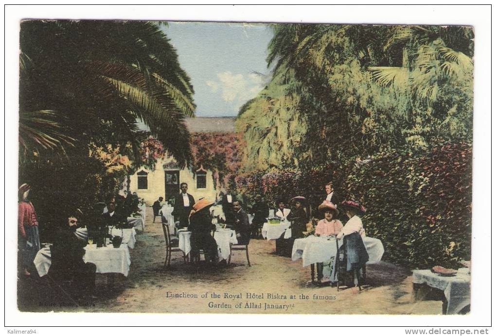 ALGERIE  /  BISKRA  /  LUNCHEON OF THE ROYAL HÔTEL BISKRA  AT  THE  FAMOUS  GARDEN  OF ALLAD JANUARY rd  /  Edit.  MAURE