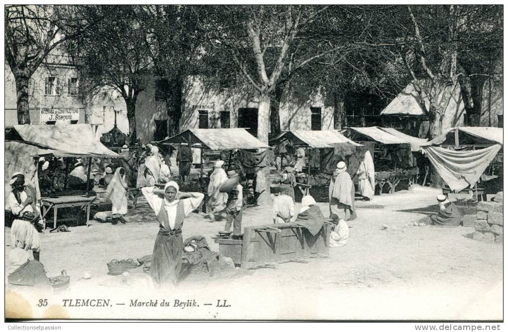 ALGERIE Tlemcen Marché du Beylik BELLE ANIMATION