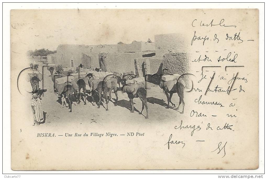 Biskra (Algérie) Convoie dans une rue du village nègre en 1902 (animée).