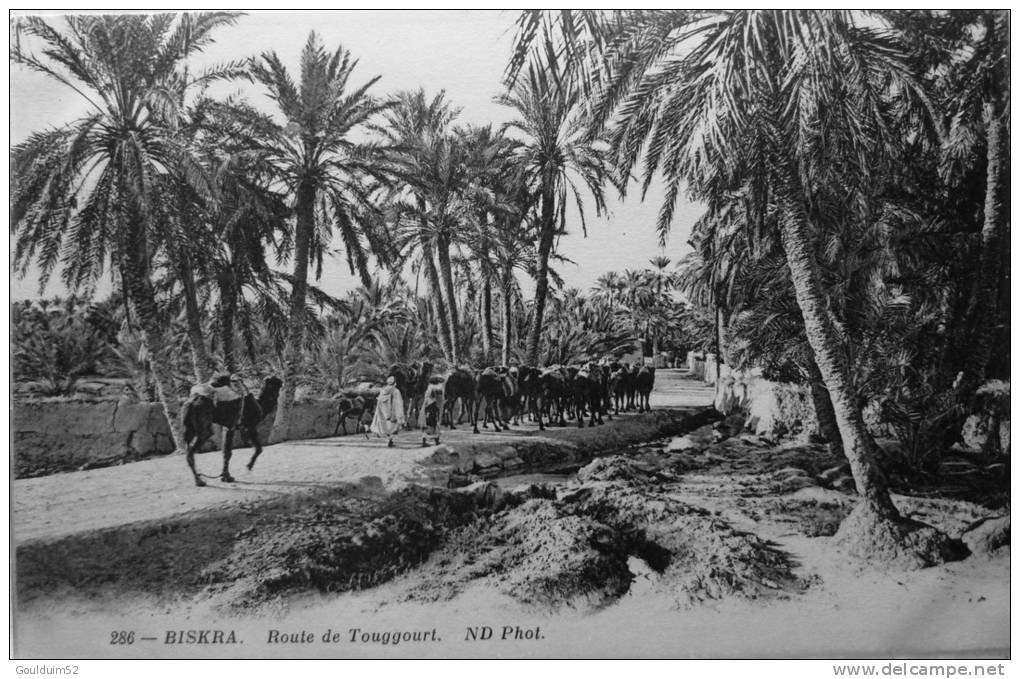 Route de Touggourt