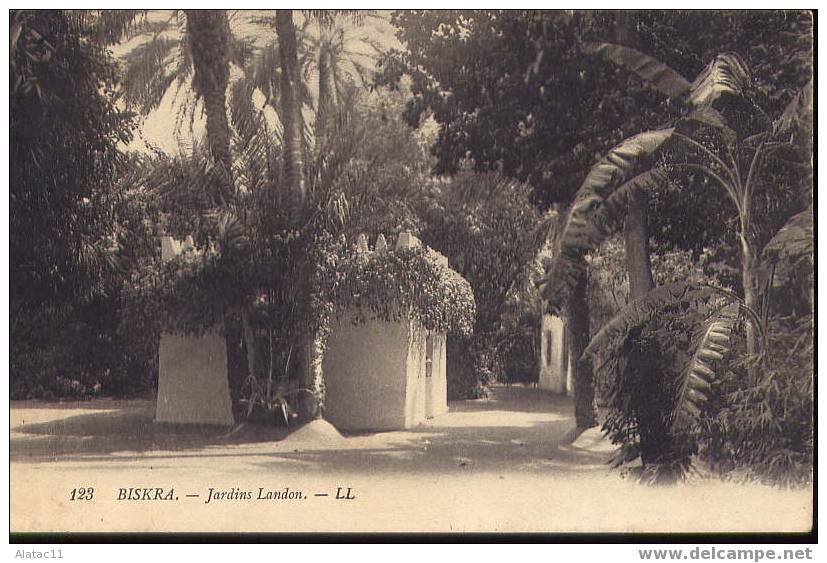 BISKRA - Jardins Landon