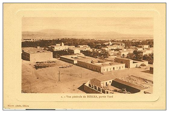 BISKRA  -  Vue Panoramique
