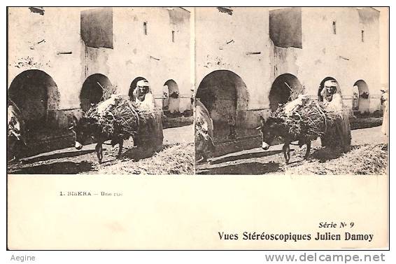 ALGERIE- ref no 701- biskra -une rue avec ane -vues stereoscopiques julien damoy  - bon etat