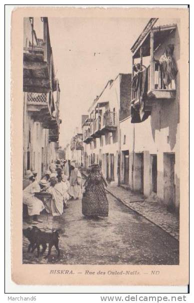 ALGERIE.BISKRA.RUE DES OULED NAILS