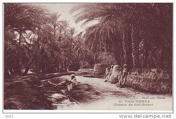 Algérie  - Z745 - Biskra - Chemin de Sidi-Barkat - bon  état