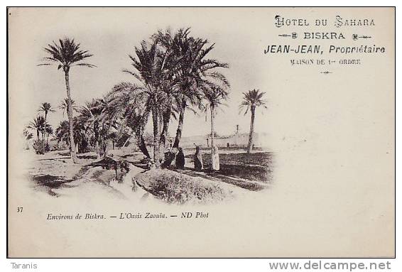 BISKRA - Environs de ..., L'Oasis Zaouïa - HÔTEL DU SAHARA, JEAN-JEAN PROPRIETAIRE - CPA TBon Etat (voir scan)